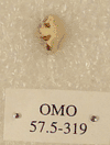 OMO 57.5-319