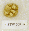 STW 309