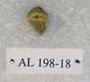 AL 198-18