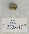 AL 333x-17
