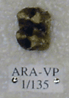 ARA-VP-1-135