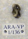 ARA-VP-1-136