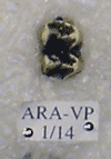 ARA-VP-1-14