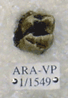 ARA-VP-1-1549