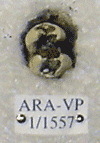 ARA-VP-1-1557