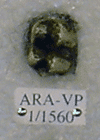 ARA-VP-1-1560