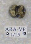 ARA-VP-1-15