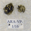 ARA-VP-1-16