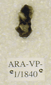ARA-VP-1-1840