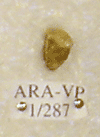 ARA-VP-1-287