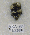 ARA-VP-1-329