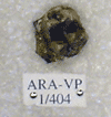 ARA-VP-1-404