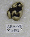 ARA-VP-1-492