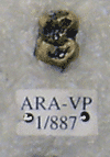 ARA-VP-1-887