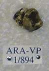 ARA-VP-1-894