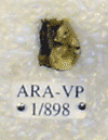 ARA-VP-1-898