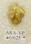 ARA-VP-6-625