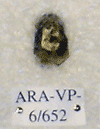 ARA-VP-6-652