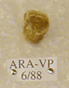 ARA-VP-6-88