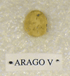 ARAGO V