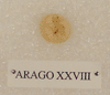 ARAGO XXVIII