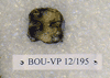 BOU-VP-12-195