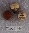 CKT 14