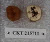 CKT 215711