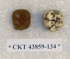 CKT 43859-134