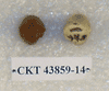 CKT 43859-14