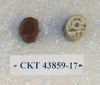 CKT 43859-17