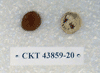 CKT 43859-20