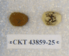 CKT 43859-25