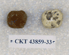 CKT 43859-33
