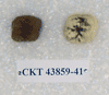 CKT 43859-41