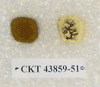 CKT 43859-51