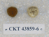 CKT 43859-6