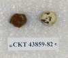 CKT 43859-82
