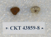 CKT 43859-8