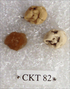 CKT 82
