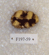 F 197-59