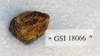 GSI 18066