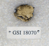 GSI 18070