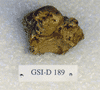 GSI-D 189
