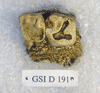 GSI-D 191