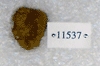 GSP 11537