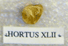 HORTUS XLII