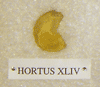 HORTUS XLIV