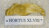 HORTUS XLVIII