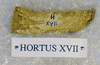 HORTUS XVII